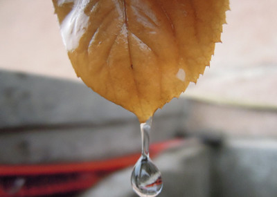 http=//www.sdchhjgc.com/img/ad/original/2014/04/21/lu0/u67/08n/0OtL566Lt1398062739179.jpg http=//www.sdchhjgc.com/img/ad/original/2014/04/21/lu0/u67/08n/0OtL566Lt1398062739179.jpg