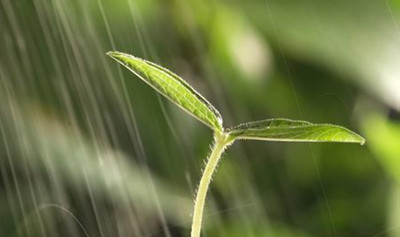 http=//www.sdchhjgc.com/img/ad/original/2014/04/21/u9l/l9n/998/_Pfn0l0P01398062781008.jpg http=//www.sdchhjgc.com/img/ad/original/2014/04/21/u9l/l9n/998/_Pfn0l0P01398062781008.jpg