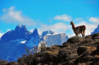 http=//www.sdchhjgc.com/img/ad/original/2014/05/21/9n9/199/7u7/ula5auxCD1400642467967.jpg http=//www.sdchhjgc.com/img/ad/original/2014/05/21/9n9/199/7u7/ula5auxCD1400642467967.jpg