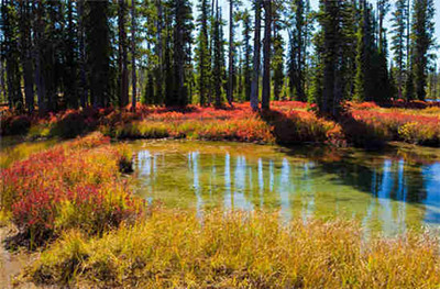 http=//www.sdchhjgc.com/img/ad/original/2014/05/21/3nu/23l/335/zh2NlhH3H1400642422935.jpg http=//www.sdchhjgc.com/img/ad/original/2014/05/21/3nu/23l/335/zh2NlhH3H1400642422935.jpg