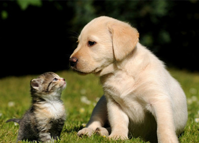 http=//www.sdchhjgc.com/img/ad/original/2014/05/15/lll/67n/3nl/0meJm6u7e1400116875125.jpg http=//www.sdchhjgc.com/img/ad/original/2014/05/15/lll/67n/3nl/0meJm6u7e1400116875125.jpg