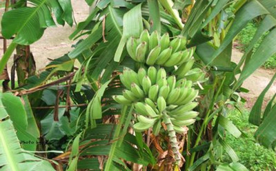 http=//www.sdchhjgc.com/img/ad/original/2014/04/11/4ul/8l8/947/005u0BP201397194729666.jpg http=//www.sdchhjgc.com/img/ad/original/2014/04/11/4ul/8l8/947/005u0BP201397194729666.jpg