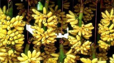 http=//www.sdchhjgc.com/img/ad/original/2014/04/11/818/n09/u18/YPPw6CnC41397194764535.jpg http=//www.sdchhjgc.com/img/ad/original/2014/04/11/818/n09/u18/YPPw6CnC41397194764535.jpg