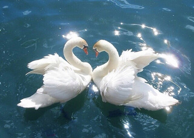 http=//www.sdchhjgc.com/img/ad/original/2014/04/11/n67/5n9/6l6/nng3nlFzb1397202775498.jpg http=//www.sdchhjgc.com/img/ad/original/2014/04/11/n67/5n9/6l6/nng3nlFzb1397202775498.jpg