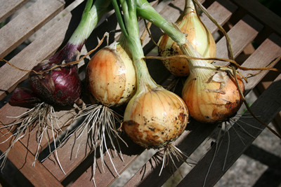 http=//www.sdchhjgc.com/img/ad/original/2014/03/25/lnn/lln/n31/II6KI6iI11395728950774.jpg http=//www.sdchhjgc.com/img/ad/original/2014/03/25/lnn/lln/n31/II6KI6iI11395728950774.jpg