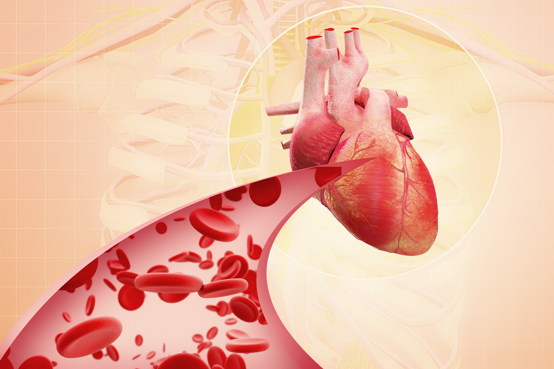 1650622726867856.jpg 摄图网_401798684_banner_心脏疾病(企业商用).jpg